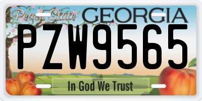 GA license plate PZW9565