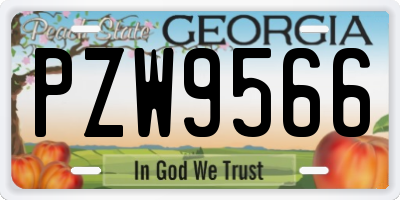 GA license plate PZW9566