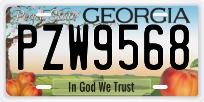 GA license plate PZW9568