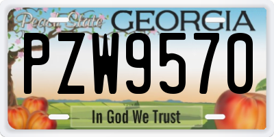 GA license plate PZW9570