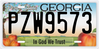 GA license plate PZW9573