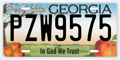 GA license plate PZW9575