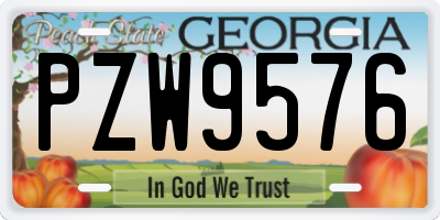 GA license plate PZW9576