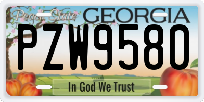 GA license plate PZW9580