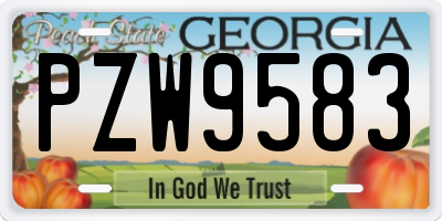 GA license plate PZW9583