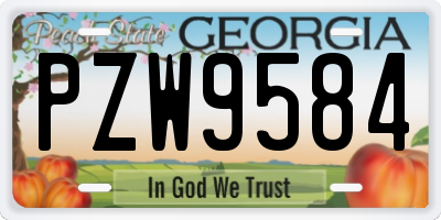 GA license plate PZW9584