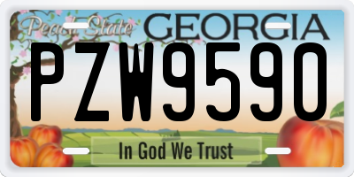 GA license plate PZW9590