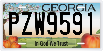 GA license plate PZW9591