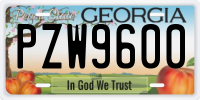 GA license plate PZW9600