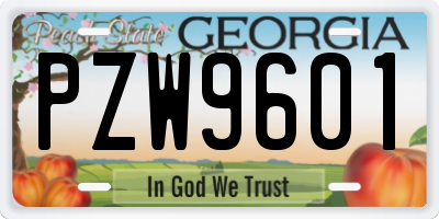GA license plate PZW9601