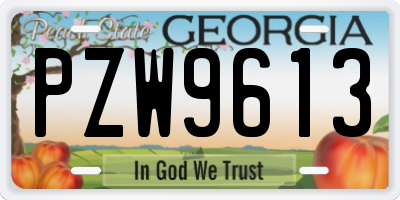 GA license plate PZW9613