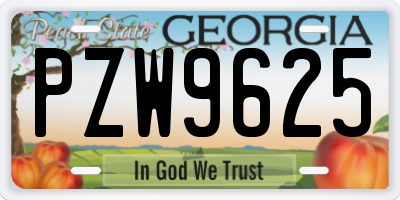 GA license plate PZW9625