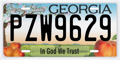 GA license plate PZW9629