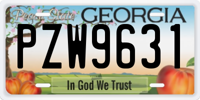 GA license plate PZW9631