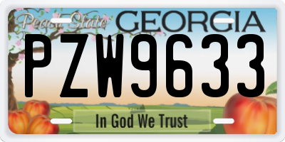 GA license plate PZW9633