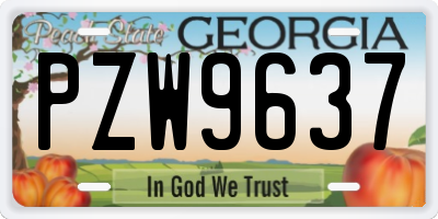 GA license plate PZW9637