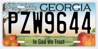GA license plate PZW9644