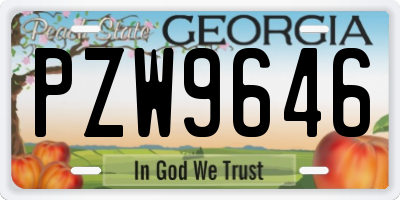 GA license plate PZW9646