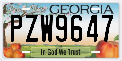 GA license plate PZW9647