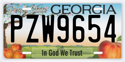 GA license plate PZW9654