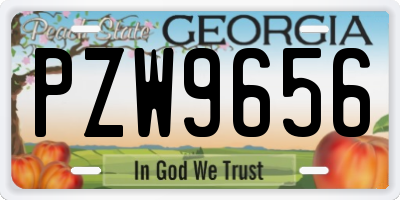 GA license plate PZW9656
