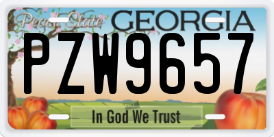 GA license plate PZW9657