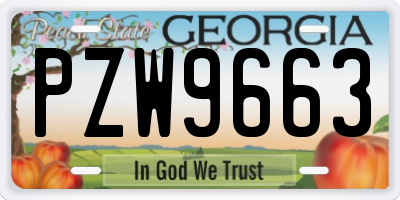 GA license plate PZW9663