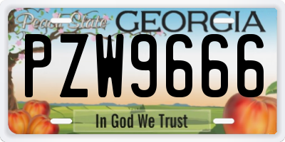 GA license plate PZW9666