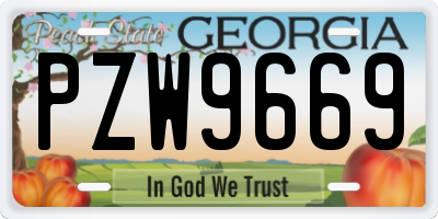 GA license plate PZW9669