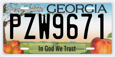 GA license plate PZW9671