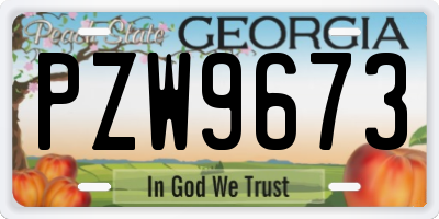 GA license plate PZW9673