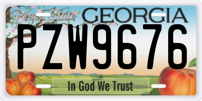 GA license plate PZW9676