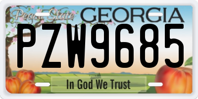 GA license plate PZW9685