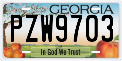 GA license plate PZW9703