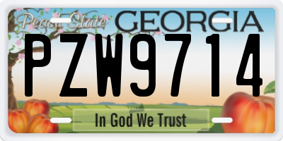 GA license plate PZW9714