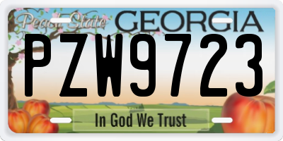 GA license plate PZW9723