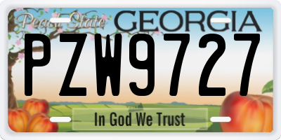 GA license plate PZW9727
