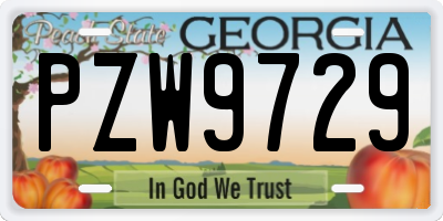 GA license plate PZW9729