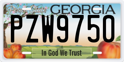 GA license plate PZW9750