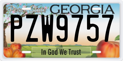 GA license plate PZW9757