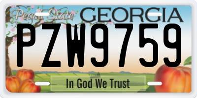 GA license plate PZW9759