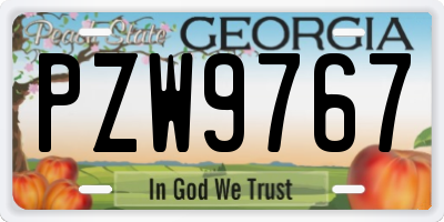 GA license plate PZW9767