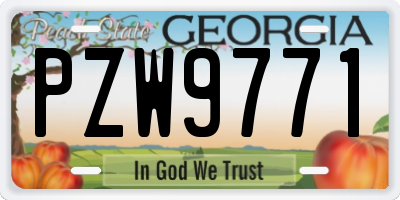GA license plate PZW9771