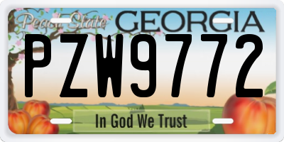 GA license plate PZW9772