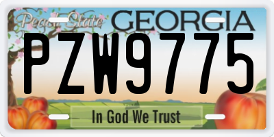 GA license plate PZW9775