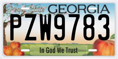 GA license plate PZW9783