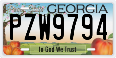 GA license plate PZW9794