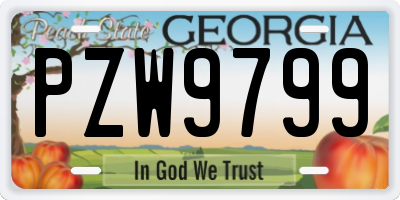 GA license plate PZW9799