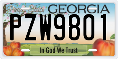 GA license plate PZW9801