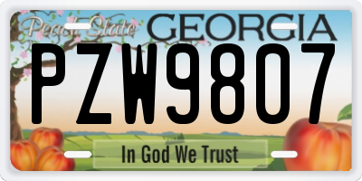 GA license plate PZW9807